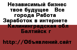 Независимый бизнес-твое будущее - Все города Работа » Заработок в интернете   . Калининградская обл.,Балтийск г.